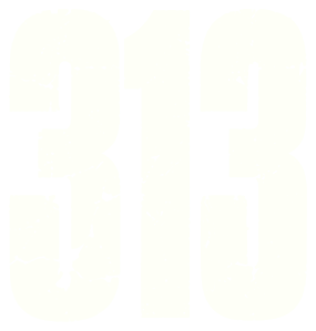 313